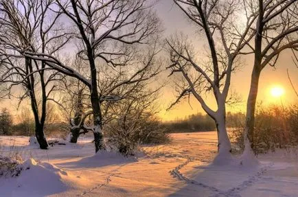 Ce și cum să fotografieze iarna în vreme zăpadă, devin un fotograf, fie un fotograf!