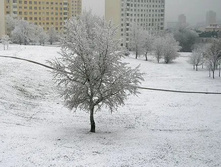 Ce și cum să fotografieze iarna în vreme zăpadă, devin un fotograf, fie un fotograf!
