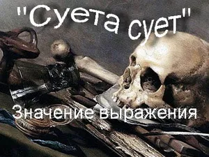 Ce face vanitatea proverb