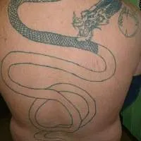 Ce este regretabil miscue tatuaj tatuaje