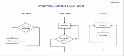 Buclele în Pascal