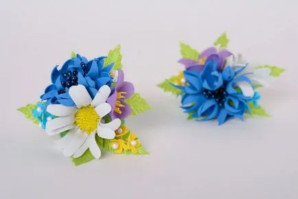 Flori de la foamirana de fabricație de master-class și microni, puțin cu mâinile, și video din domeniu (de master-class flori foamirana) Flori de la foamirana de fabricație de master-class și microni, puțin cu mâinile, și video din domeniu