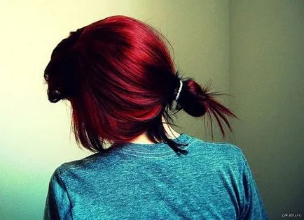 Culoare par fotografii roșu de copac, care este această imagine și ce vopsea pentru a alege (lemn) Culoare par fotografii roșu de copac, care este această imagine și ce vopsea pentru a alege