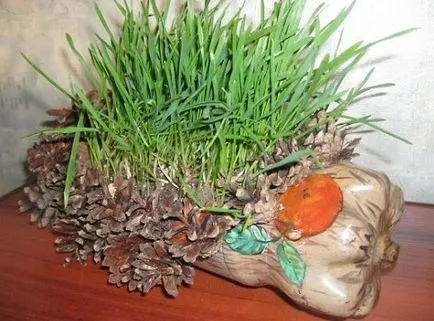 Asigurați-un arici dintr-o sticlă de plastic și conuri imagine u (sticla) Asigurați-un arici dintr-o sticlă de plastic și conuri imagine u