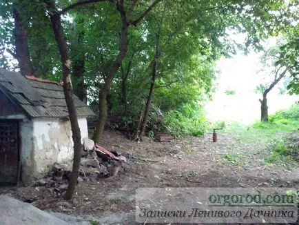 Nu știu de unde să înceapă - soluții frumoase