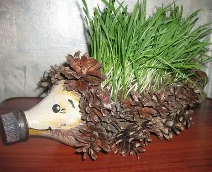 Asigurați-un arici dintr-o sticlă de plastic și conuri imagine u (conuri) Asigurați-un arici dintr-o sticlă de plastic și conuri imagine u