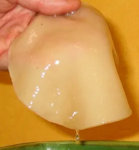 Cum de a face Kombucha, drumul spre casă