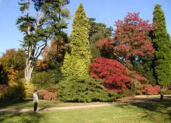 Arboretum - l