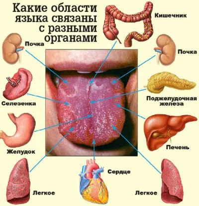 starea generală de diagnosticare (stare) Diagnoza stării generale a organismului