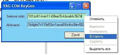Diagnostice grup Vag masini folosind un program de VAG-com 311