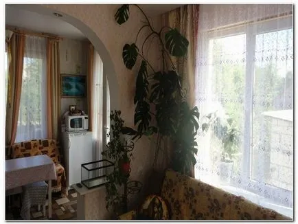 Design de bucătărie cu o cameră de zi, sfaturi de design (foto), bucătărie de design, design interior, reparații, foto (sfaturi) Design de bucătărie cu o cameră de zi, sfaturi de design (foto), bucătărie de design, design interior, reparații, fotografii