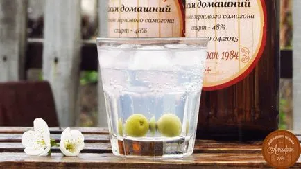 alcoolice domestice, rețete