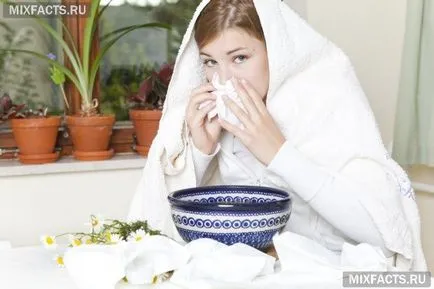 Animale de inhalare la o răceală și tuse cu care să facă nebulizatorului inhalare și pentru un cuplu (a face) Animale de inhalare la o răceală și tuse cu care să facă nebulizator de inhalare și un cuplu