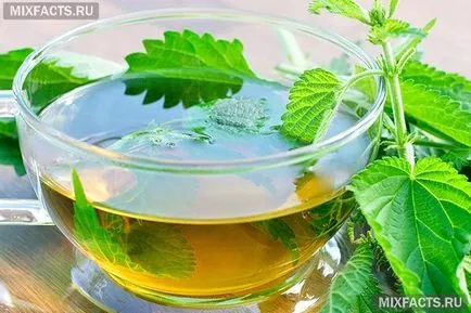 Homemade urzici par Consolidarea (rețete) (rețete cu păr tonic urzica) Homemade par Consolidarea urzici (rețete)