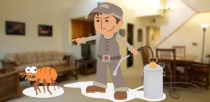 Carpenter, cum să scape