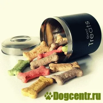 Dog de formare cu toate marile echipe (toate țările disponibile) Dog de formare cu toate comenzile de bază