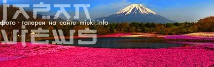 Casa în japoneză, miuki Mikado • Japonia virtuală (miuki) Casa în japoneză, miuki Mikado • Virtual Japonia