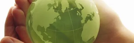 Design de mediu - studiu de mediu al proiectului