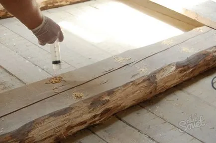 Carpenter, cum să scape