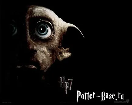 Dobby-house elf și istoria sa