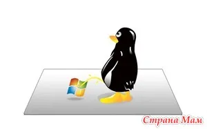 Dacă decideți să reinstalați Linux - acasă Mamele