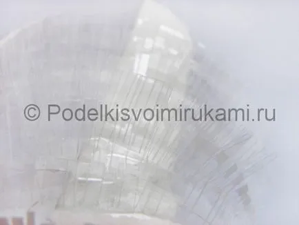 Arici de sticle din plastic cu propriile lor mâini (sticle) Arici de sticle din plastic cu propriile lor mâini