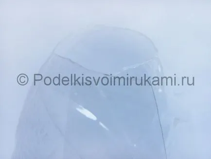 Arici de sticle din plastic cu mâinile lor (lor) Arici de sticle din plastic cu propriile lor mâini