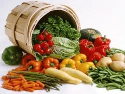 fiziologie de nutriție