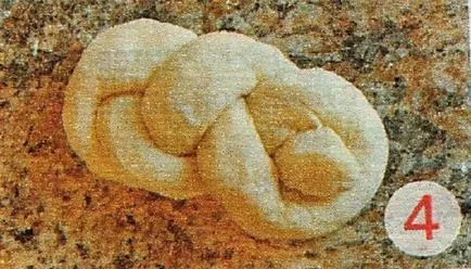 Forma sub formă de rulouri modul de a face chifle frumoase formă din aluat de drojdie