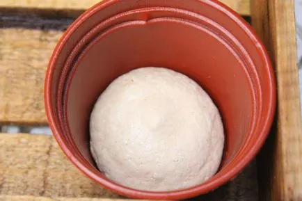 Spuma florale