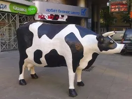 În cazul în care să mănânce ieftin de la Moscova, am în sine (sala de mese) de călătorie În cazul în care să mănânce ieftin de la Moscova, călătoresc foarte