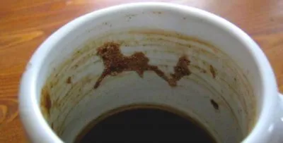copac dragon Ghicitori și alte caractere