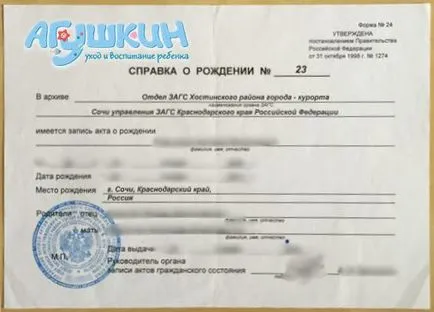 Unde și cum să obțineți un certificat de naștere (certificat de naștere pentru a obține) Unde și cum să obțineți un certificat de naștere
