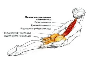 Formatorii la domiciliu, fără echipamente performante simulator cu video și fotografii
