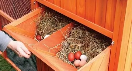 Cuiburile pentru găinile ouătoare cu mâinile fotografie lor, dimensiunea, sfaturi utile