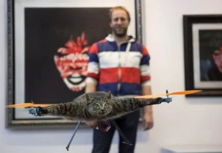 Olandezul a făcut un elicopter de la pisica îndesate (Moale) Olandezul a făcut un elicopter de la pisica îndesate