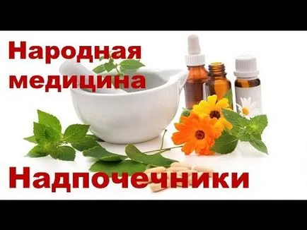 Cortexul suprarenal hormoni rahidian