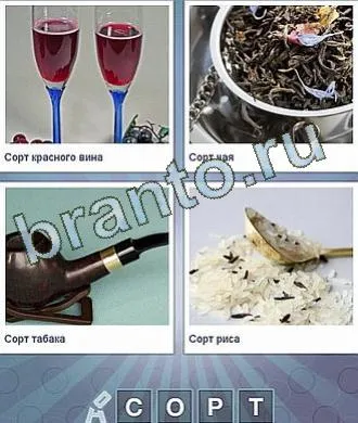 Jocul că, din cauza cuvântului - răspunsurile la colegii de clasă, de contact, telefon, tabletă, Android, forum