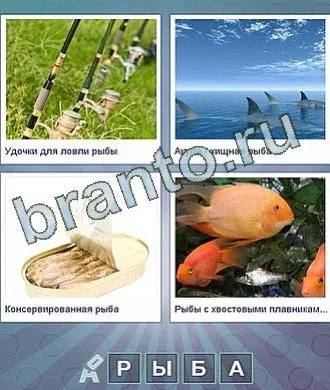 Jocul că, din cauza cuvântului - răspunsurile la colegii de clasă, de contact, telefon, tabletă, Android, forum