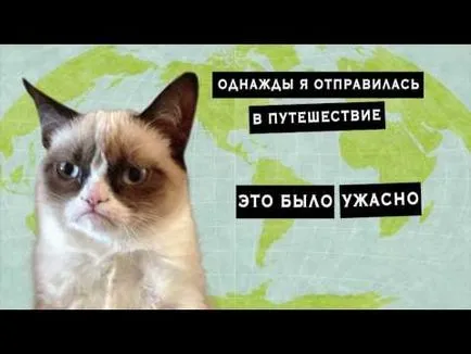 grumpy cat, memepedia