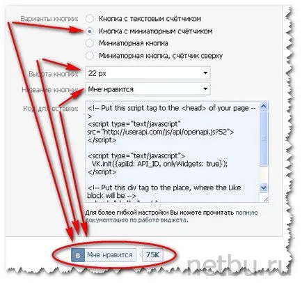 Cum butonul VKontakte pe un site, un blog, Dmitri Bajdukov (buton) Cum butonul VKontakte pe un site, blog, Dmitri Bajdukov