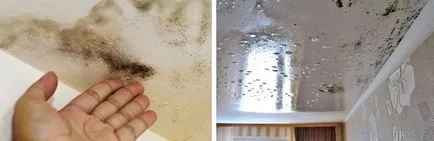 Ce tavanul în balcon logie, cu mâinile lor, cum să facă, opțiunile, vopsea decât (balcon) Ce tavanul în balcon logie, cu mâinile lor, cum să facă, opțiunile, vopsea decât