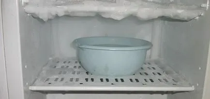 Cum pentru a dezgheța rapid frigider (dezgheța cât mai repede dezghetarea frigiderului știu îngheț) Cum pentru a dezgheța rapid frigider
