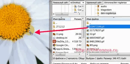 Cât de repede încărcați fișiere în găzduirea și înapoi prin FileZilla client ftp- - tehnologii Internet (rapid) Cât de repede încărcați fișiere în găzduirea și înapoi prin ftp- client FileZilla - tehnologia Internet
