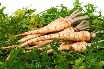 Cum să crească rapid pătrunjel într-o seră pe vânzarea video (pătrunjel) Cum să crească rapid pătrunjel într-o seră pe vânzarea video de