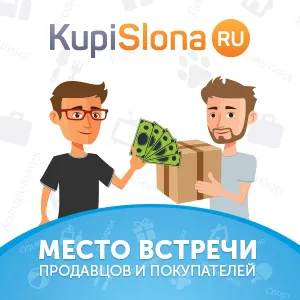 Cum pot dovedi la banca pe care nu luați credit lui
