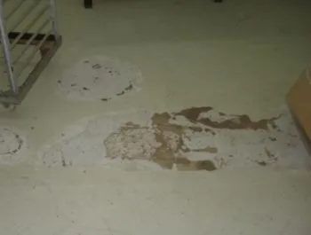 Cum de a stabili podea autonivelante