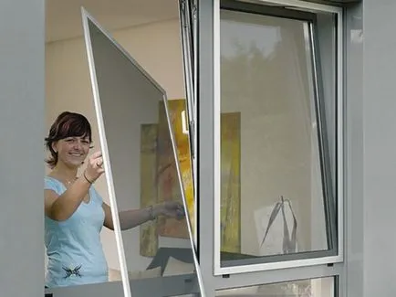 Cum să scapi de păianjeni 14 fonduri (păianjeni) Cum să scapi de păianjeni 14 fonduri