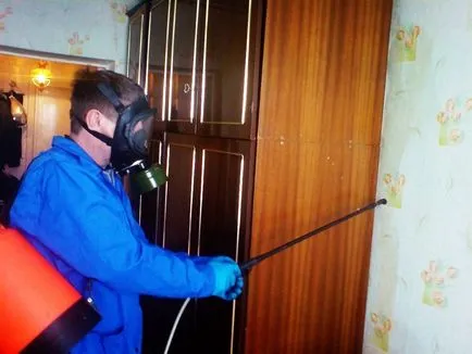 Cum sa scapi de bug-uri de pat in medicina de origine și populare remedii pentru a combate (acasă) Cum sa scapi de bug-uri de pat in medicina de origine și populare remedii pentru combaterea