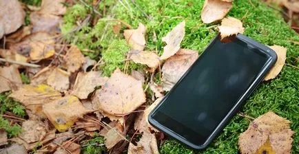 Cum pot găsi un telefon pierdut prin Internet dacă este oprit sau, pro100security (Internet) Cum pot găsi un telefon pierdut prin Internet dacă este oprit sau, pro100security